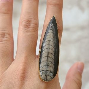Fossil Ring